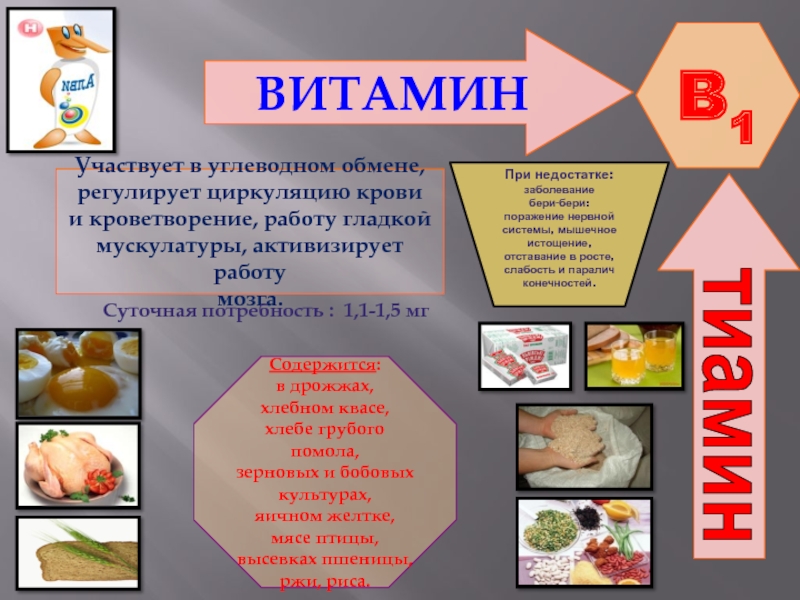 Уроки биологии витамины