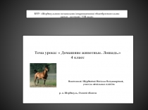 Презентация к уроку :  Домашние животные. Лошадь. 4 класс школы VIII вида