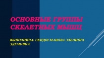 Подготовка и представление публичного выступления в виде презентации