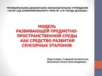 Модель развивающей предметно-пространственной среды как средство развития сенсорных эталонов