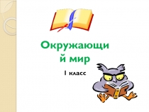 Презентация по окружающему миру 1 класс 