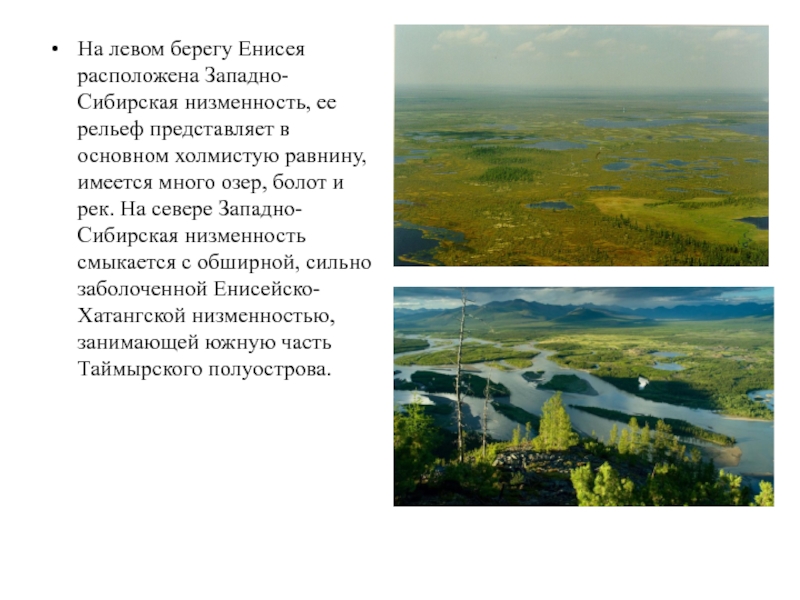 Какие озера находятся на западно сибирской равнине. Западно Сибирская равнина Енисей. Левый берег Енисея Западно-Сибирская равнина. Крупнейшие реки Западно сибирской равнины. Озера Западно сибирской равнины.