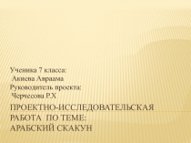 Проектно-исследовательская работа  по теме арабский скакун.