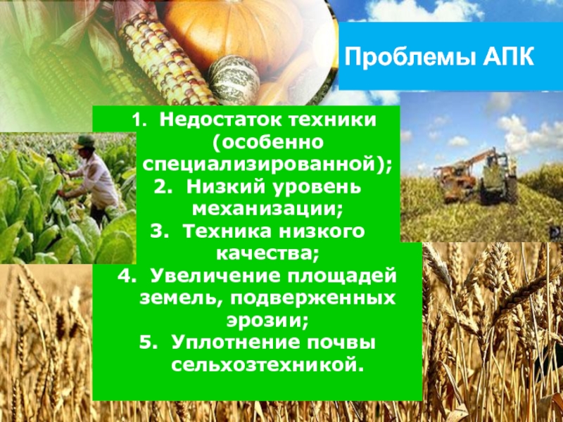 Перспективы сельского хозяйства. Проблемы агропромышленного комплекса. Проблемы АПК В России. Перспективы агропромышленного комплекса. Проблемы агропромышленной отрасли.