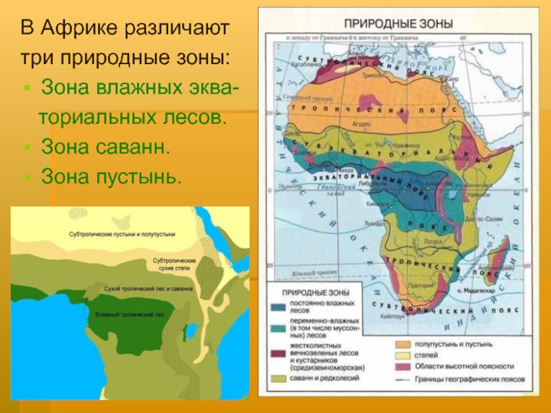 Три природные зоны африки. Карта природных зон Африки 7 класс. Природные зоны Африки 7 класс география карта. Климатические пояса и природные зоны Африки. Природные зоны африканского континента.