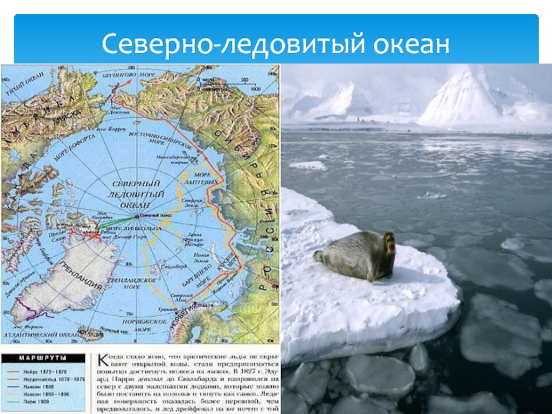 Координаты северного океана. Северный Ледовитый океан на карте. Арктический бассейн Северного Ледовитого океана. Северо Ледовитого океана на карте. Границы Северного Ледовитого океана.