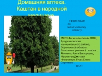 Презентация по экологическому проекту.Домашняя аптека.Каштан в народной медицине.