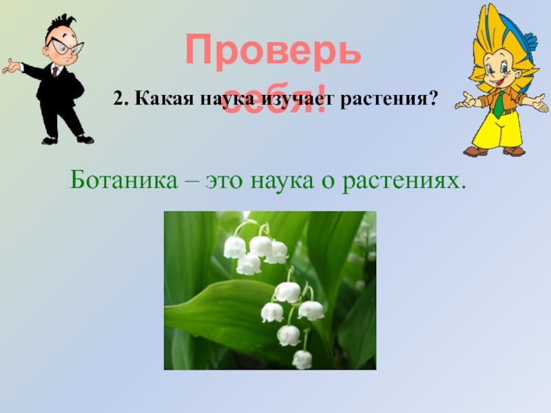 Какие бывают растения 2 класс окружающий мир плешаков презентация школа россии