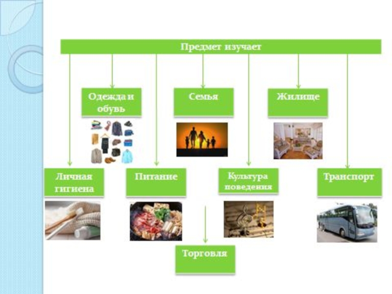 Изучаемый предмет. Образовательные учреждения. Презентация сбо. Сбо стройматериал. Производство и его подразделения урок сбо. Предметы изучающиеся на дизайне.