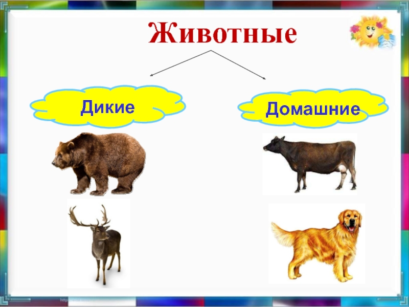 Презентация дикие и домашние животные для дошкольников