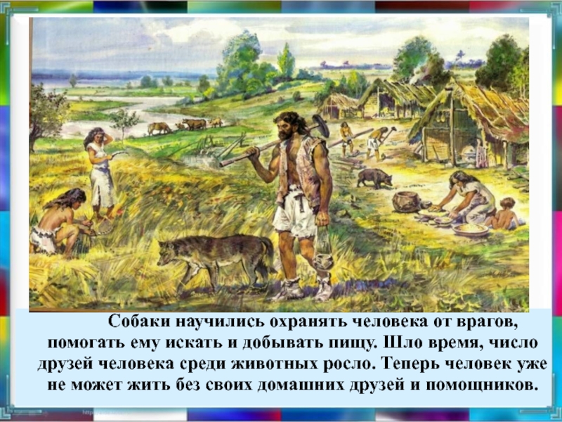 Что помогает добывать пищу. Собаки научились охранять человека человека. Собаки помогают людям добывать пищу. Числа друзья человека. Что помогает совет добывать пищу.