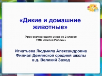 Презентация по теме: 