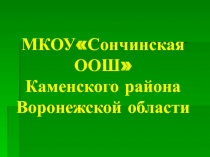 Проектно-исследовательская работа 