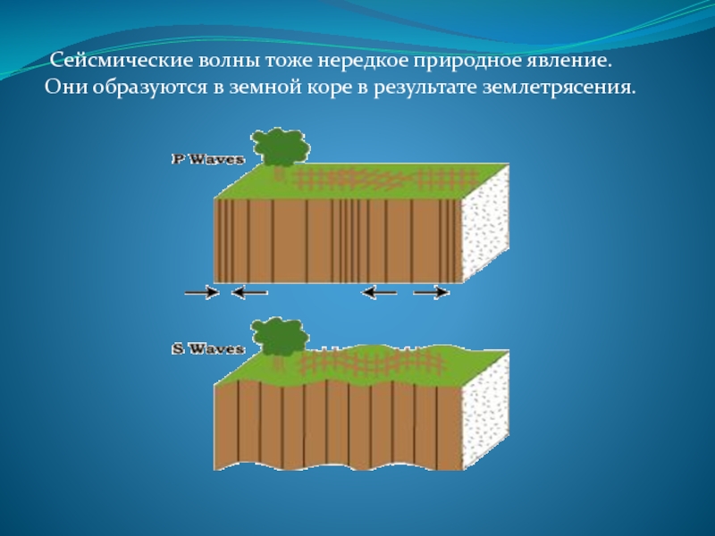 Сейсмические волны презентация