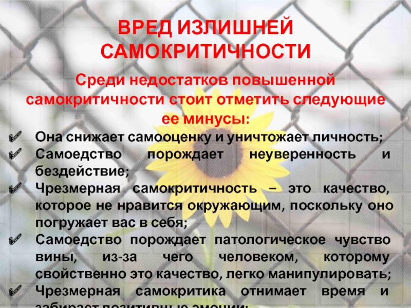 Что такое самокритичность