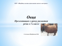 Презентация к уроку развития речи 