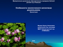 Особенности экологического воспитания дошкольников. Презентация