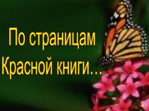 Презентация к внеклассному мероприятию по биологии 