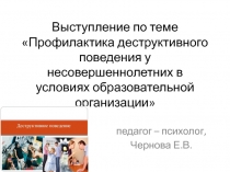 Профилактика деструктивного поведения у несовершеннолетних в условиях образовательной организации