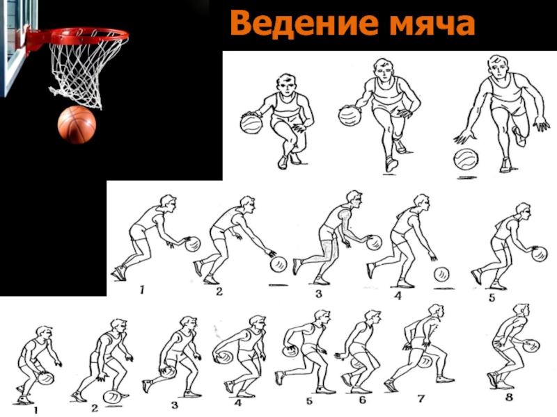 Ведение в баскетболе кратко. Техника ведения мяча в баскетболе. Ведение мяча в движении в баскетболе. Техника выполнения ведения мяча в баскетболе. Техника ведения мяча в баскетболе схемы.