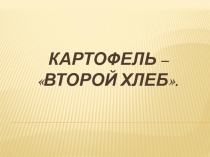 Презентация к исследовательской работе 