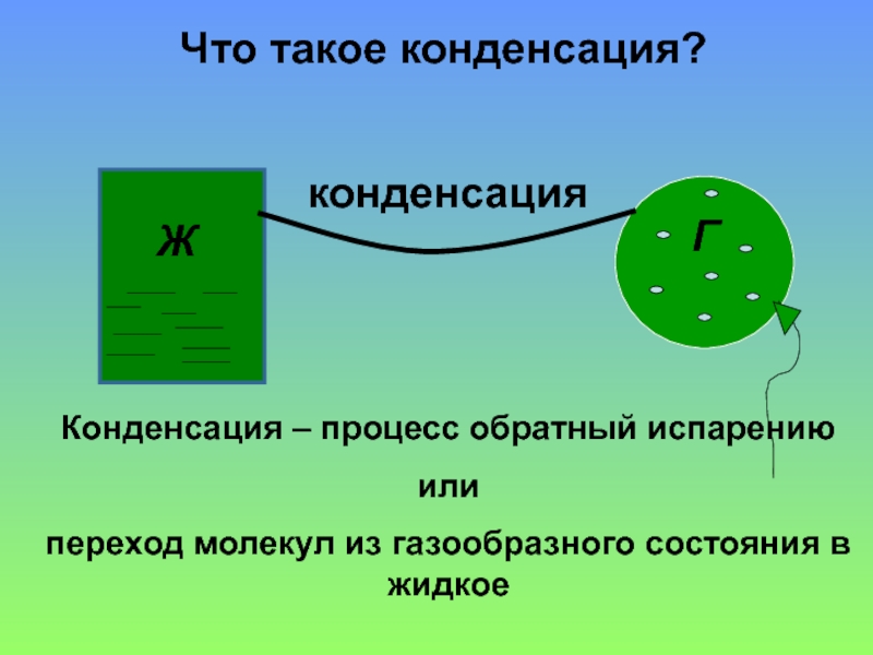 Испарение и конденсация в живой природе проект