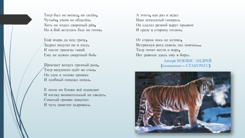 Песенка тига. Тигр стихотворение. Детский стих про тигра. Стихи о Тигре для детей. Стих про тигра для детей.