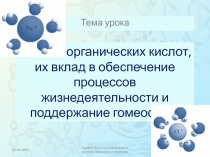 Соли неорганических кислот, их вклад в обеспечение процессов жизнедеятельности и поддержание гомеостаза