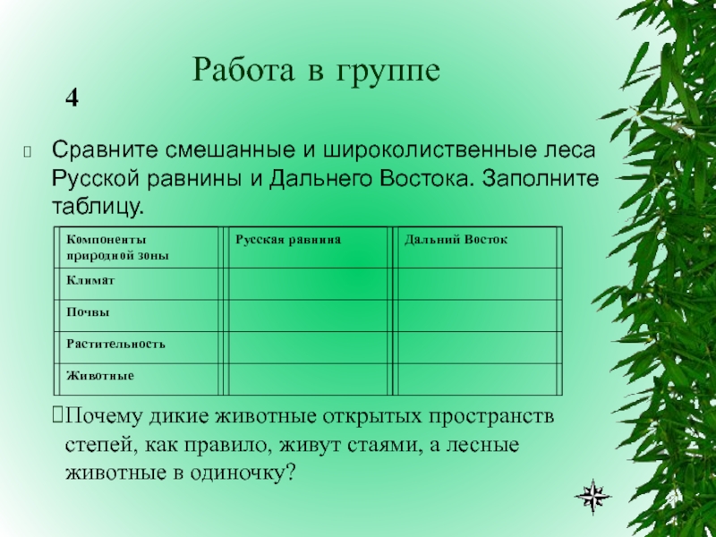 Таблица сравнение природных зон. Зона лесов смешанные широколиственные климат. Зона лесов таблица. Характеристика лесных зон России. Характеристика леса.