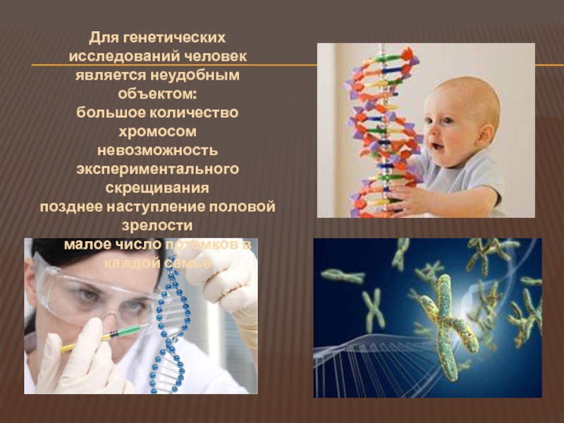 Особенности изучения генетики. Генетика человека. Методы генетических исследований. Методы генетических исследований человека. Методы исследования генетики человека презентация.