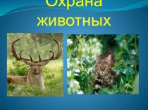 Конспект урока по окружающему миру и презентация