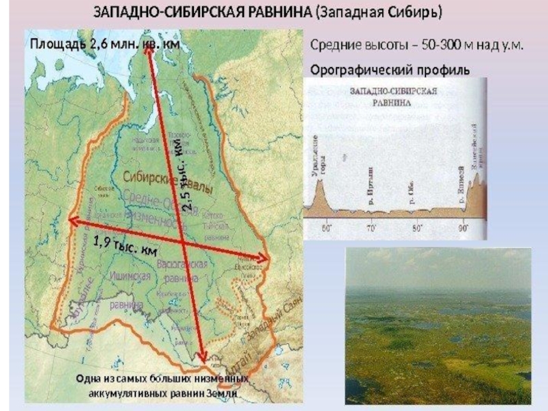 Западная низменность. Средняя высота Западно сибирской равнины. Геологическая карта Западно сибирской равнины. Западно Сибирская низменность на карте высота. Равнины Западной Сибири.