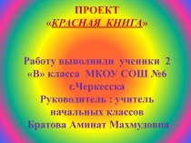 Проект 