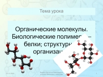 Органические молекулы. Биологические полимеры – белки; структурная организация