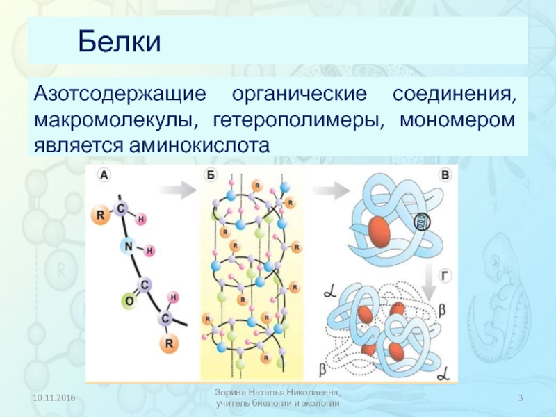 Белки вещества картинки