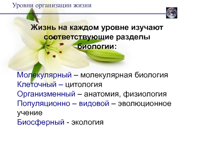 Особенности популяционно видового уровня жизни 10 класс биология презентация пономарева