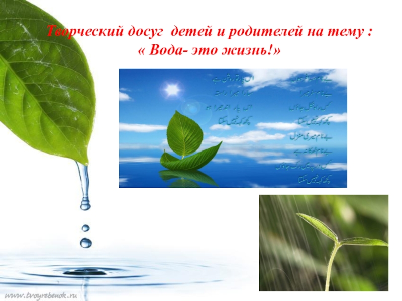 Проект вода в доу. Вода вокруг нас. День воды в ДОУ. Картинка ветка в воде и без воды в ДОУ.