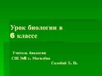 Презентация к уроку по теме 