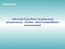 Microsoft Visual Basic