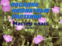 Мастер класс 