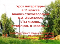 Урок литературы в 11 классе. Анализ стихотворения А.А. Ахматовой Ты знаешь, я томлюсь в неволе…