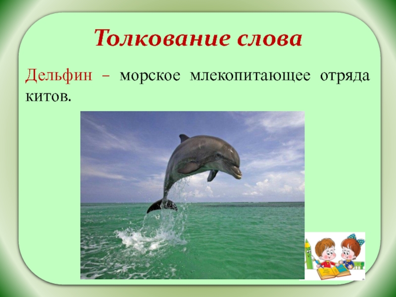 Звук в слове дельфины. Слово Дельфин. Дельфин предложение. Дельфин отряд млекопитающих. Морское млекопитающее отряда китов.