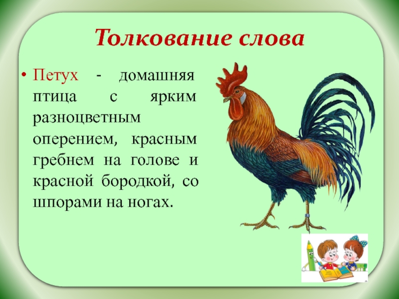 Толкование словаПетух - домашняя птица с ярким разноцветным оперением, красным гребнем на голове и красной бородкой, со
