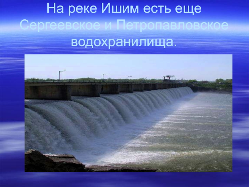 Откуда начало ишима. Исток реки Ишим. Сергеевское водохранилище Казахстан. Информация о реке Ишим. Растения реки Ишим.