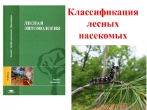 Классификация насекомых леса