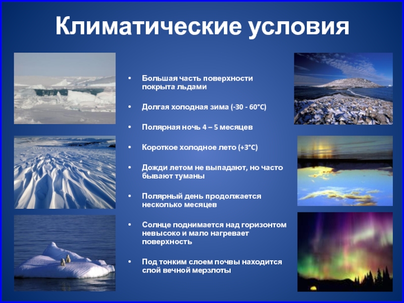 Тип климата зима холодная. Арктика конспект. Арктика 4 класс. Арктика 4 класс окружающий. Арктика 4 класс окружающий мир.
