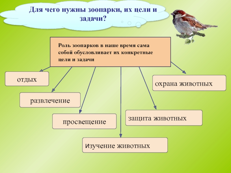 Правила поведения в зоопарке для детей презентация