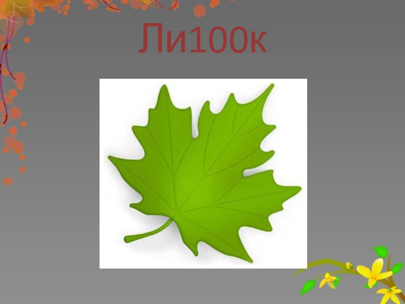 Ли на 100