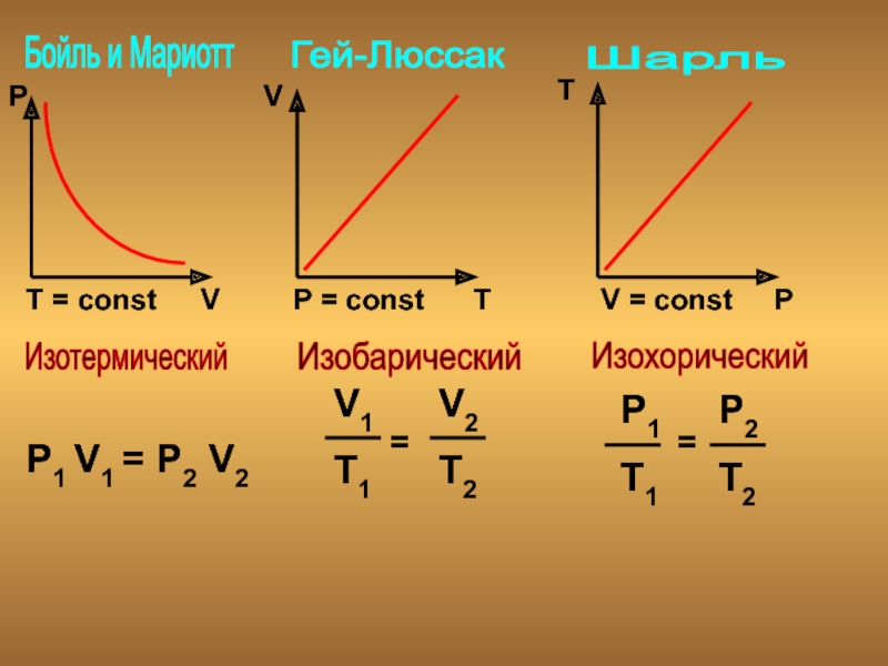 Const vector