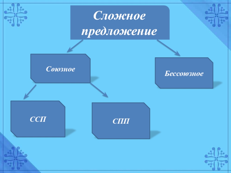 Союзные и бессоюзные предложения 5 класс. Союзные и Бессоюзные предложения. Сложные союзные предложения.